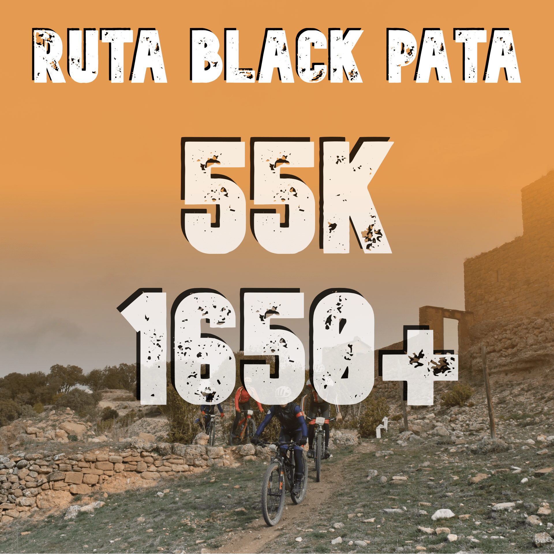 Ruta Black Pata